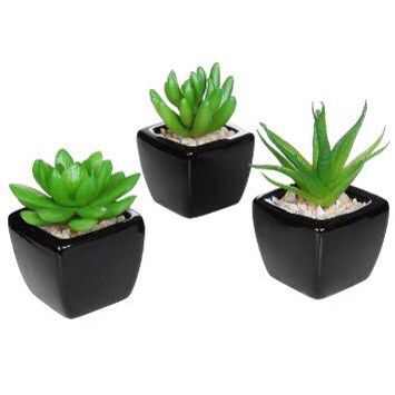 Plantas artificiais: pequena