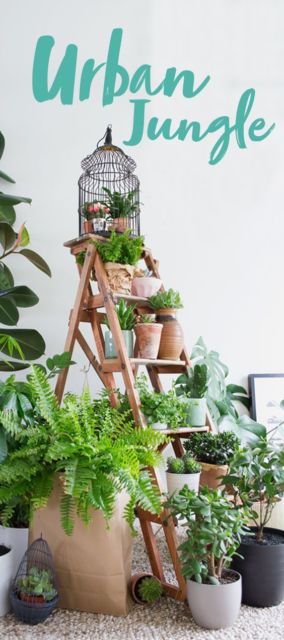 Plantas artificiais: em jardim vertical