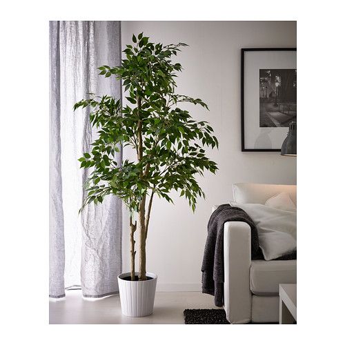 Plantas artificiais: para sala