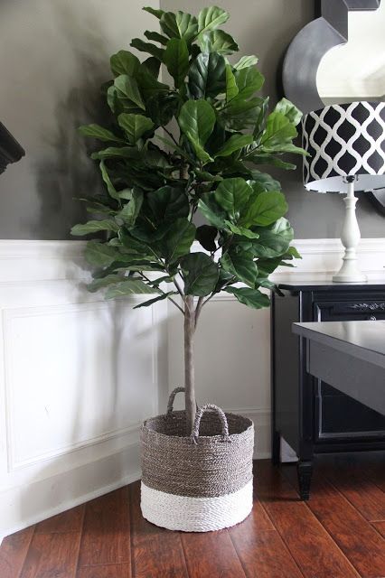 Plantas artificiais: para sala