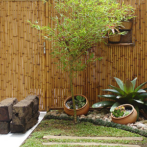 Plantas artificiais: para jardim