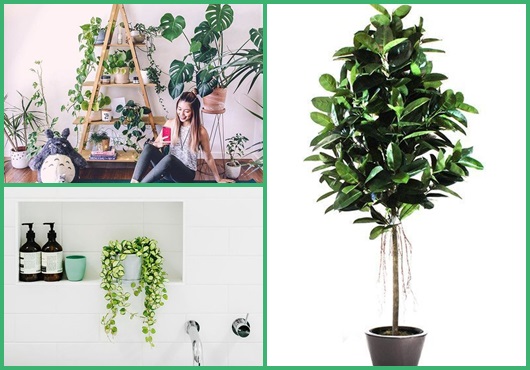 Plantas artificiais: Inspirações