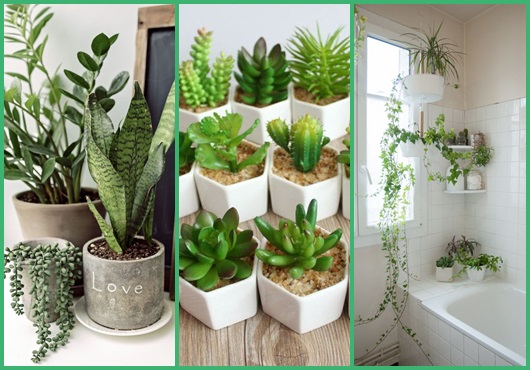 Plantas artificiais: Inspirações