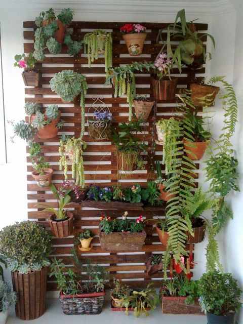 jardim vertical com paletes