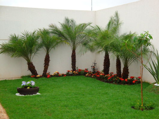 Jardins pequenos com flores