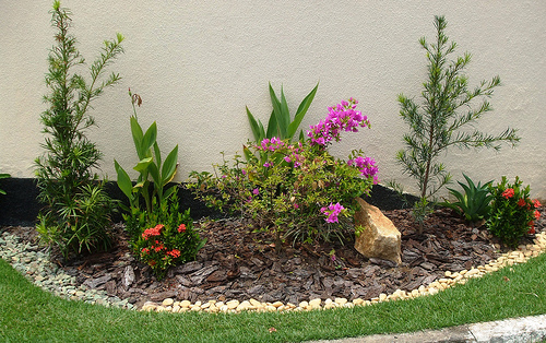 Jardins pequenos com flores