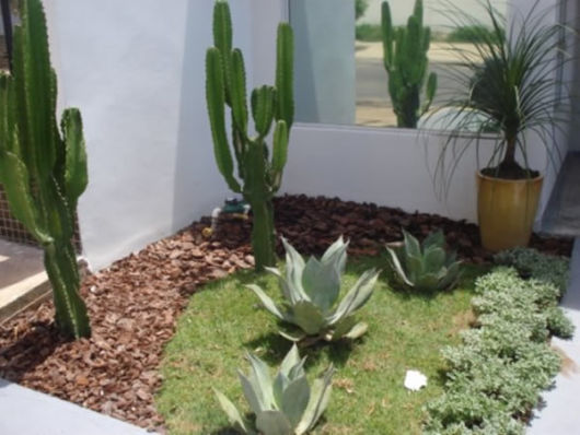 Jardins pequenos em entradas