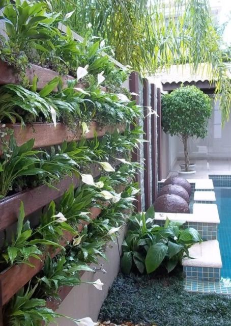Jardim vertical: externo com pallet