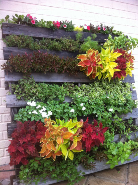 Jardim vertical: com pallet