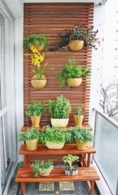 Jardim vertical em varanda de apartamento com vasinhos de barro