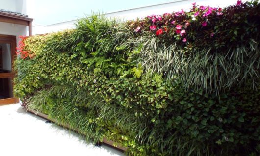 Jardim vertical em muro