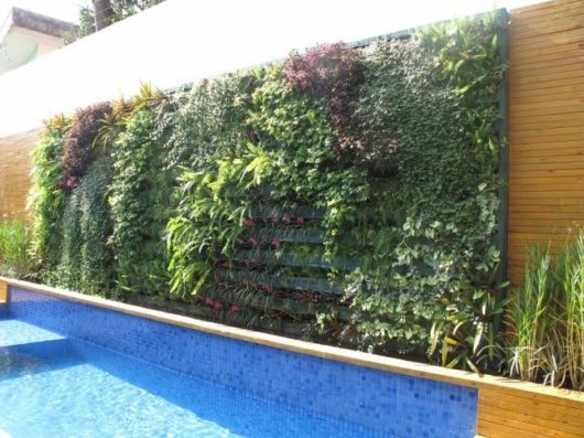 Jardim vertical na piscina
