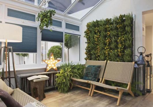 Jardim vertical: na sala de estar