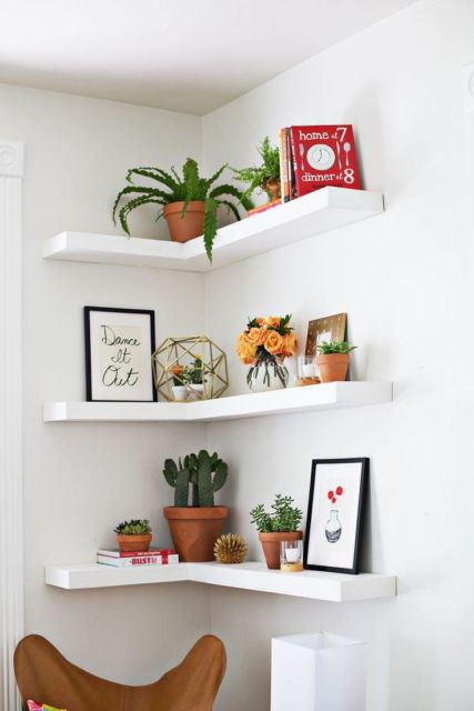 Prateleiras para quarto feminino com plantas