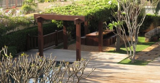 Trepadeiras para pergolados