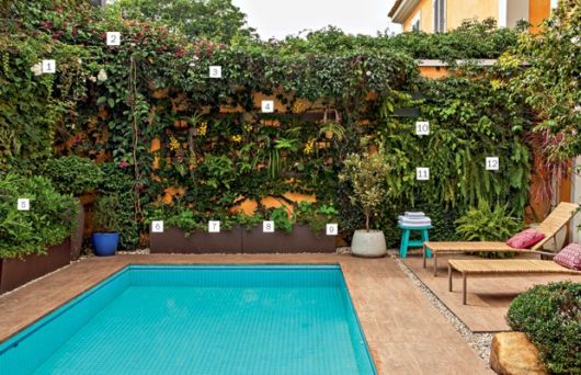 Trepadeiras para muros