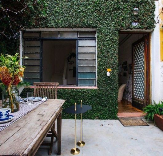 Trepadeiras para muros