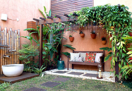 Trepadeiras para pergolados