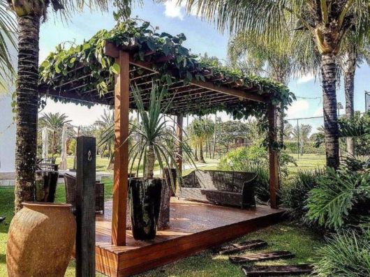 Trepadeiras para pergolados