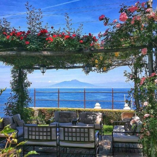 Trepadeiras para pergolados