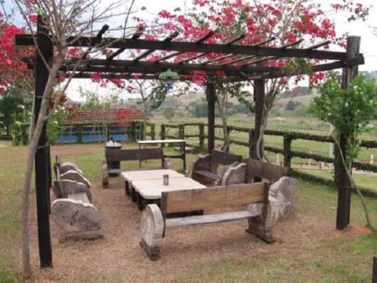 Trepadeiras para pergolados