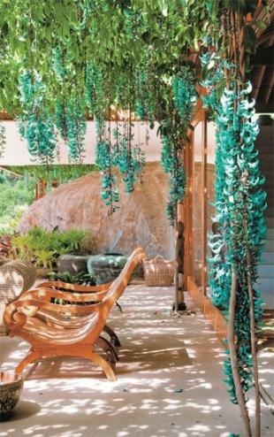 jardim com jade azul