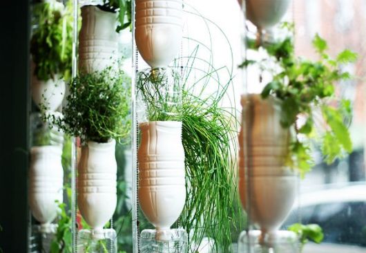 Horta em garrafa PET