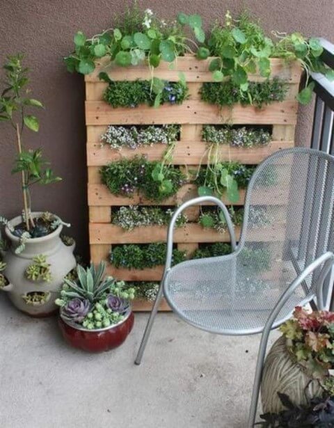 Horta em pallet