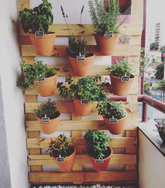 Horta em apartamento