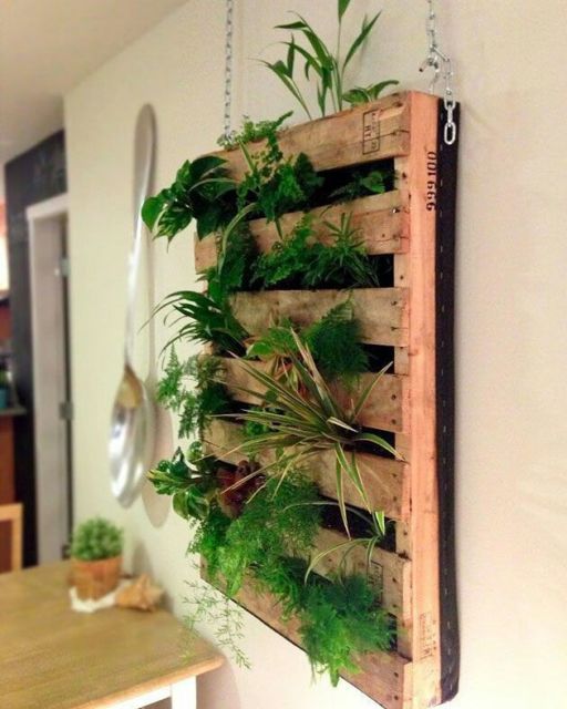 Horta em pallet