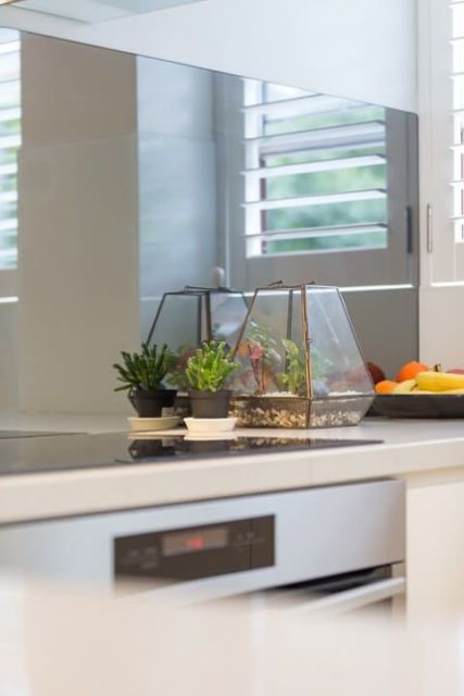 mini cactos em terrário