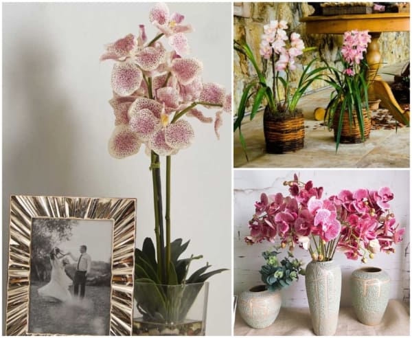 Orquídeas em tons de rosa