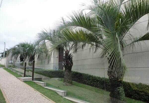 muro de vidro temperado em jardim