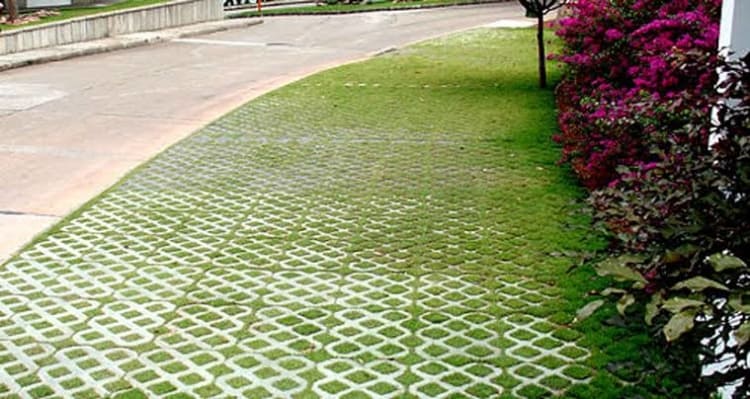 Concregrama na calçada