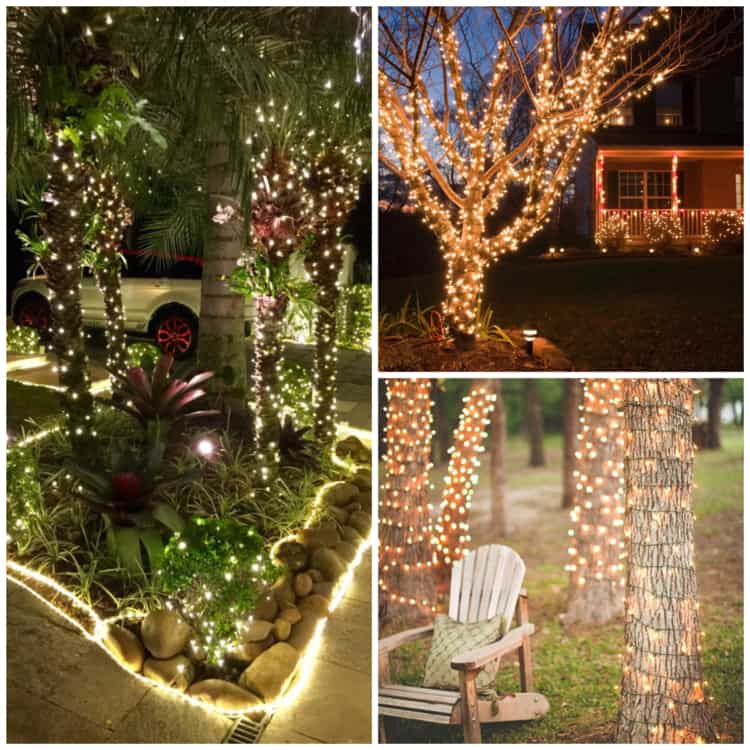 Decoração com Pisca Pisca no Jardim