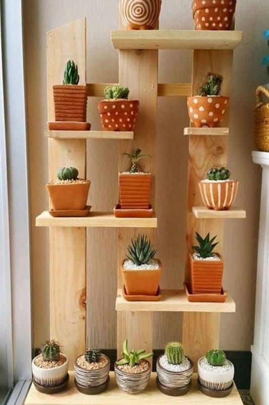 Prateleira diferente de palete para suculentas