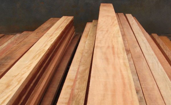 ripas de Peroba do norte