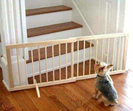 Grade para cachorro 3