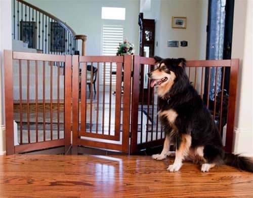 Grade para cachorro 4